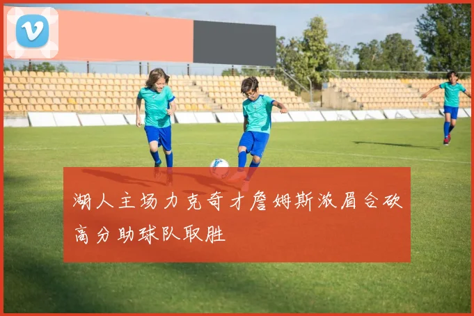 湖人主场力克奇才詹姆斯浓眉合砍高分助球队取胜