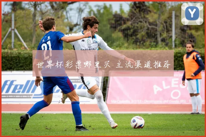世界杯彩票哪里买 主流渠道推荐