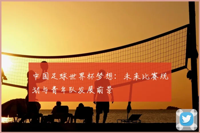 中国足球世界杯梦想：未来比赛规划与青年队发展前景