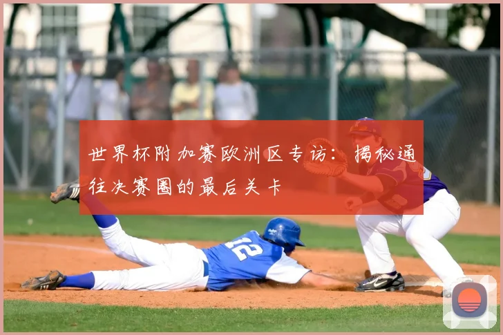 世界杯附加赛欧洲区专访：揭秘通往决赛圈的最后关卡