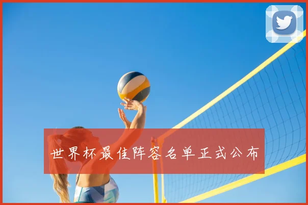 世界杯最佳阵容名单正式公布