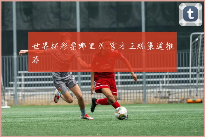 世界杯彩票哪里买 官方正规渠道推荐