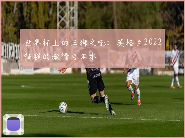 世界杯上的三狮之吼：英格兰2022征程的激情与泪水