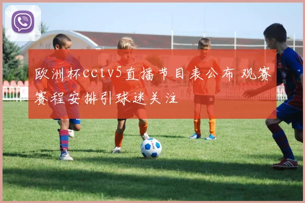 欧洲杯cctv5直播节目表公布 观赛赛程安排引球迷关注