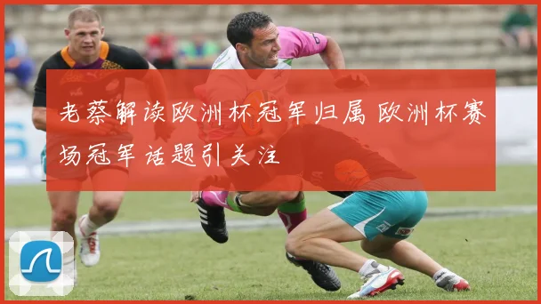 老蔡解读欧洲杯冠军归属 欧洲杯赛场冠军话题引关注