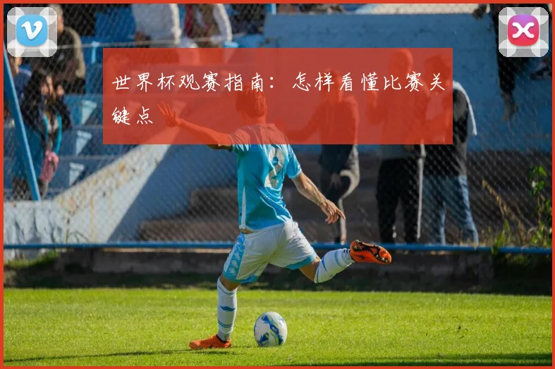 世界杯观赛指南：怎样看懂比赛关键点